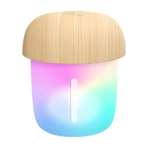 Compact Humidifier